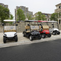 2-Sitzer Lithium-Batterie Golf Buggy