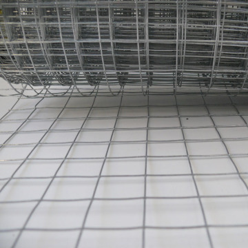 Galvanized Welded Wire Mesh