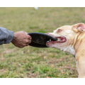 Chien frisbee durable caoutchouc naturel durable