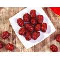 Date de séchage organique Sweet Jujube Fruit