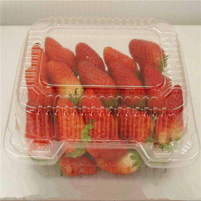 Clear Plastic Strawberry Container
