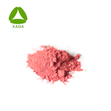 ISO9001 Food Grade 10:1 Camellia Flower Extract Powder