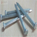 Modern Coil Wire Nail Stainless Steel Concrete Nail