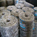 14 Gauge Hot Dipped Galvanized Barbed Wire