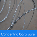 Sécurité Concertina Razor Wire