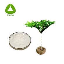 Food Additive Konjac Extract Powder Konjac Gum Powder