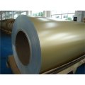 Galvanized Steel Coil From Yanbo
