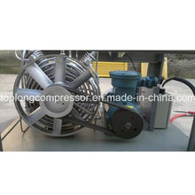 Home CNG Compressor for Car CNG Compressor (BV-5/200)