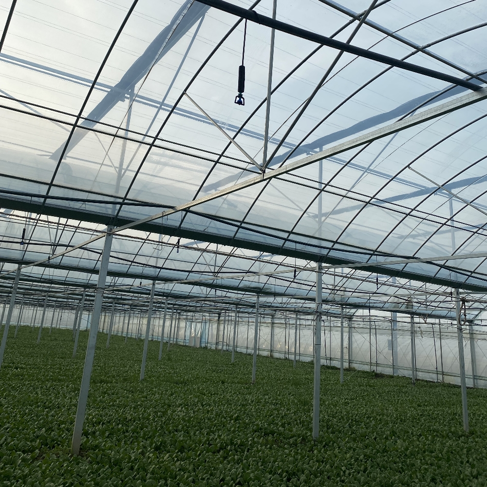 Double Layer or Multi-layer PC Greenhouse Double Layer or Multi-layer PC Greenhouse