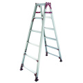 Aluminum Ladder with Adjustable Leg