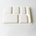 Bagasse 6 compartment tray 320x233x30mm