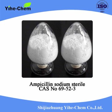 Steriles CAS 69-52-3 Ampicillin Natrium mit