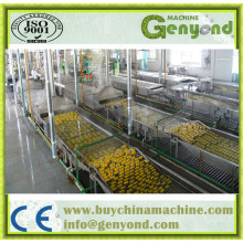 Full Automatic Stainless Steel Pasteurization Tunnel