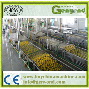 Full Automatic Stainless Steel Pasteurization Tunnel