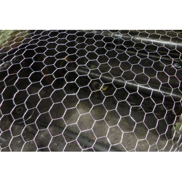 Netting de fil hexagonal - tisser avant de plongé galvanisé à chaud