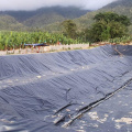 HDPE LLDPE Geomembrane Texture Doublure Texture Prix Philippines