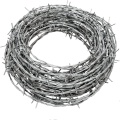 Prison Galvanized barbed wire fencing