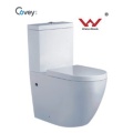 Hand Press Toilet with Watermark Standard/One Piece Toilet with Ce Certification (CVT2062)