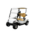 2 Seater Gasoline or Gas Powered Golf Carts