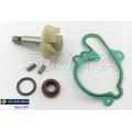 Water pump repair kit Minarelli AM6