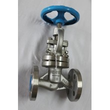 Globe Valve Flanged End with Hand Wheel Through Way Globe Valve