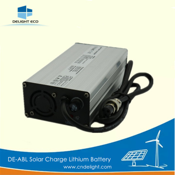 DELIGHT Solar Lithium Batteries for Sale