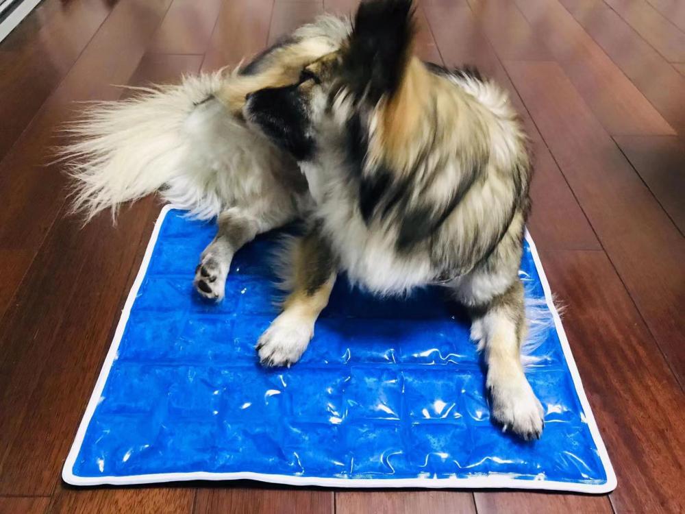 Pet Cooling Mat Jpg Pet Cooling Mat Jpg