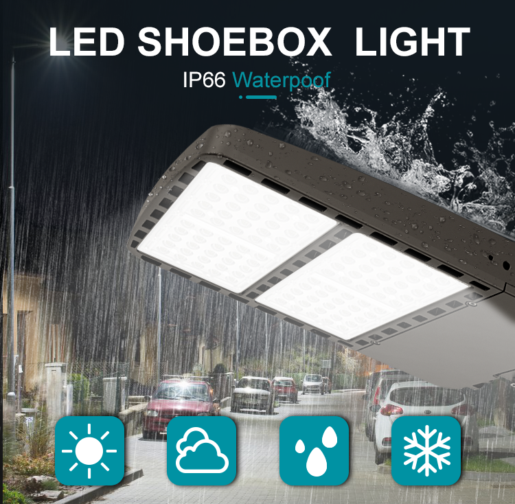 Module LED Shoebox Lights