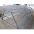 Automatic chicken layer cage