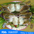 Frozen cut crab,three spot crabb with Fishing Certificate