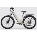 Bicicleta elétrica de engrenagem fixa personalizada