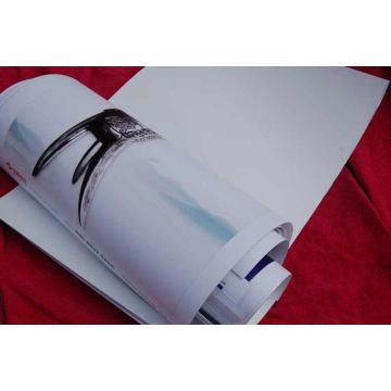 pp synthetic paper for banner stands