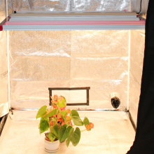 Led Plant Grow Light with Multiple Bar