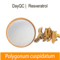 Extracto de raíz de resveratrol polígono cúspidatum