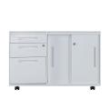Mobile caddy with drawers and sliding door