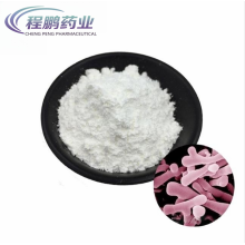 Raw Material Bifidobacterium Bifidum in Food Grade