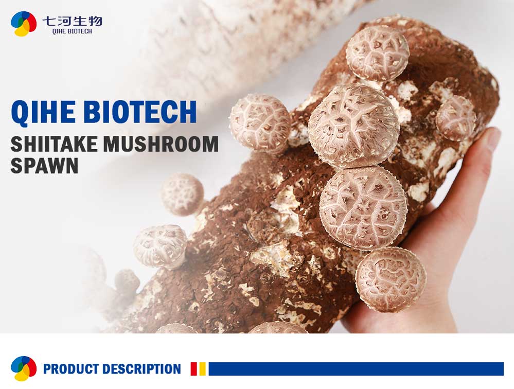 Artificial Mushroom Cultivation