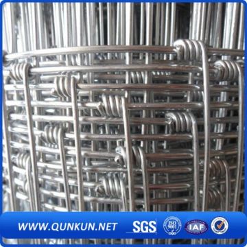 Galvanized Iron Knotted Wire Mesh Field Cattle Fence