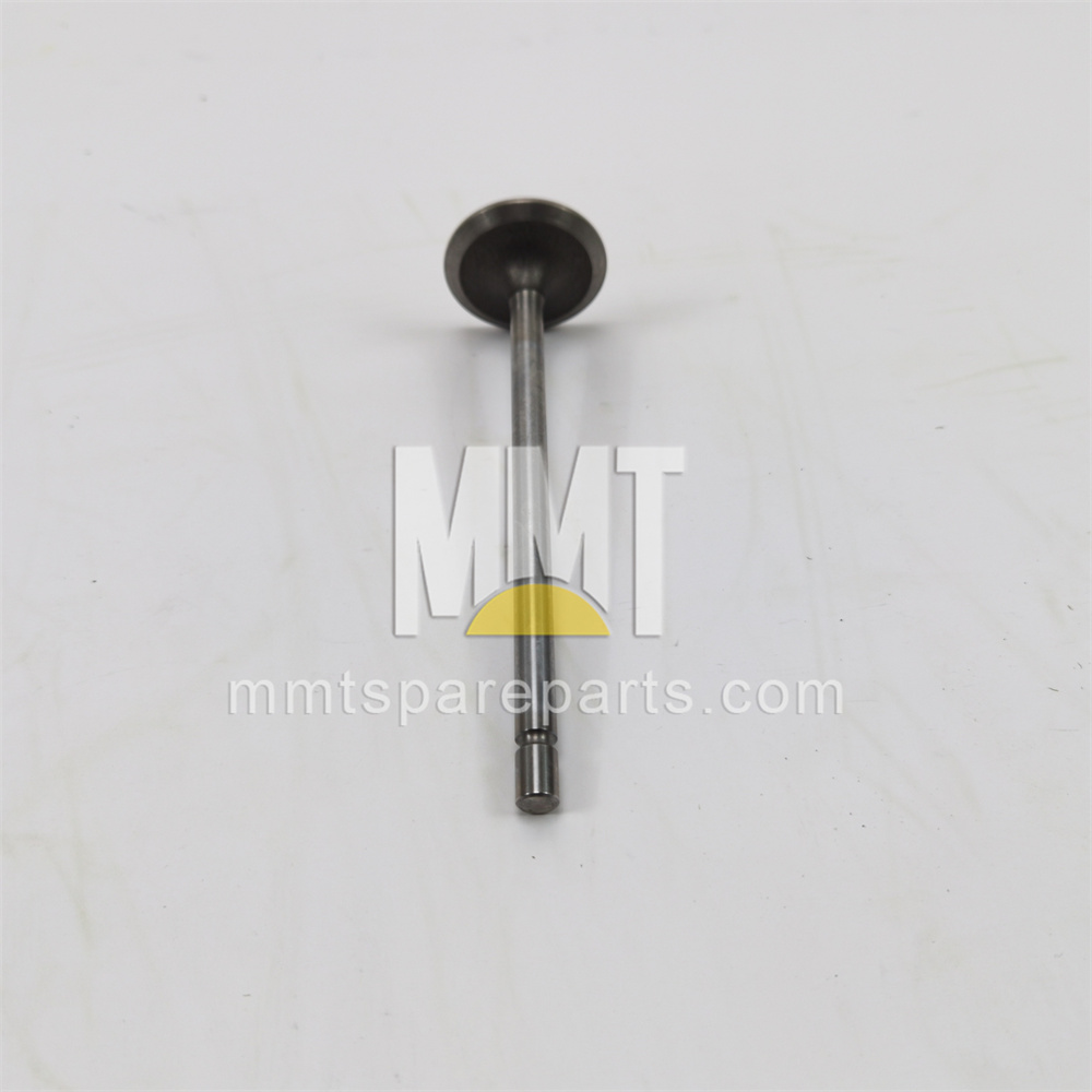 Exhaust Valve 490-1728 Exhaust Valve 490-1728