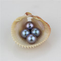 Snh Dye Grey Color Nice Freshwater Round Half Drilled Pearl Beads