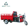 2500w 3 wheel High Speed Electric Rickshaw