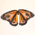 Attractive 3D Butterfly Wall Sticker for Home