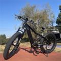 750w mid motor Fat tire full suspension mountain ebike