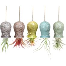 Cute Octopus Air Plant Hanger Wall Planter