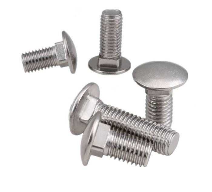 Carriage Bolt 005 Jpg