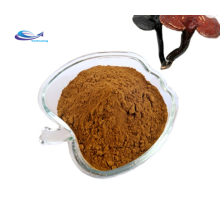 Top quality Sunflower extract sunflower seed extract flower