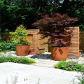 Открытая стальная плантаторная коробка Corten