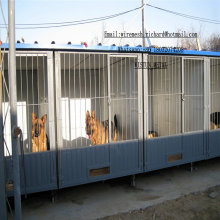 Équipement de volaille industrielle Cages de traitement de maillage de fil d&#39;acier pour chiens