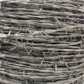 Hot sale Galvanized barbed wire