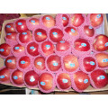 manzana fresca deliciosa roja